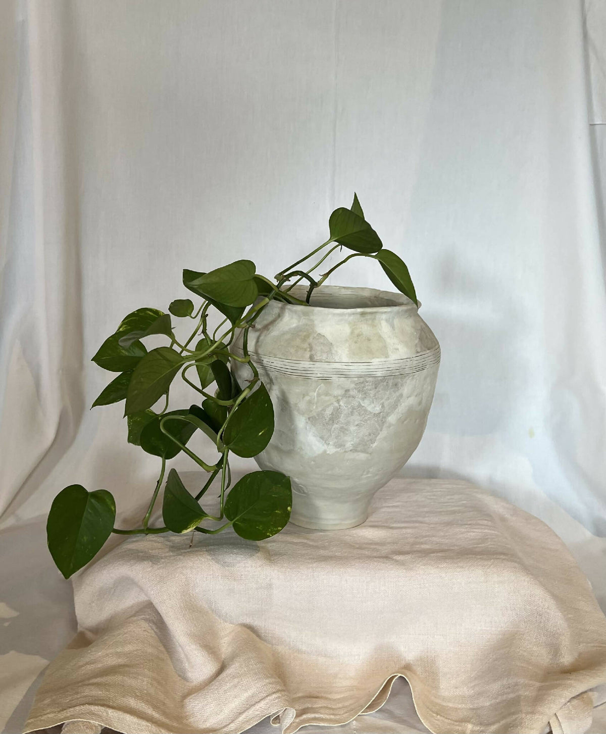 Grand vase Cyclades blanc cassé, plante verte en composition