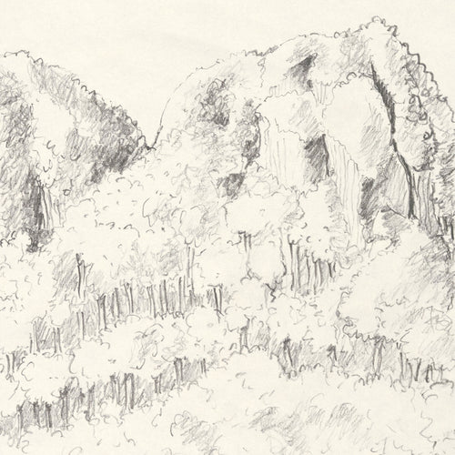 Tirage d’art numéroté : croquis au crayon de montagnes et palmiers