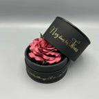 Boîte parfumée noire ouverte avec rose rose et couvercle en biais