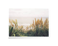 Photographie d'art paysage : dunes d’herbes hautes au bord de la mer